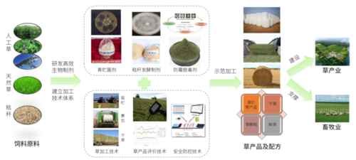 圖2   高效復合生物制劑是優(yōu)質草產品加工的重要保障3因地制宜,發(fā)揮