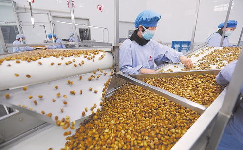 衡水饒陽縣鼓勵有條件的企業在村里設置 扶貧車間