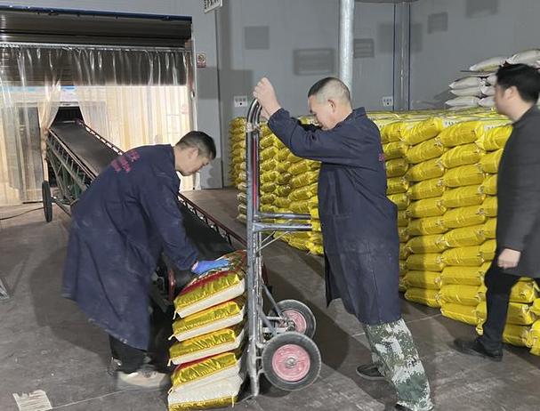 從曾經的手工小作坊發(fā)展為一家集糧食基地建設,原料收購儲存,大米加工