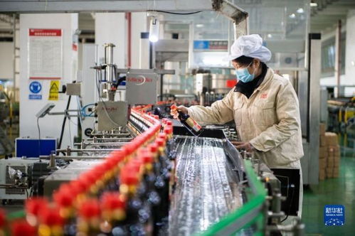 新華全媒 丨湖南寧鄉 食品企業加工忙