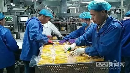 一縣一品,木蘭粗食“喝”起來丨鮮食玉米“藏糧于技”