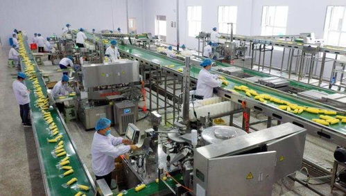 大董農業打造中國北方 綠色明珠