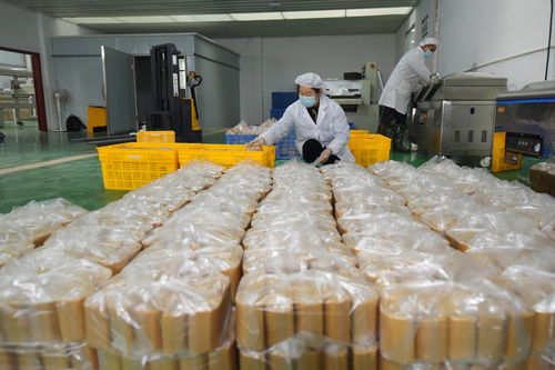 年關將至 岑鞏特色食品加工忙