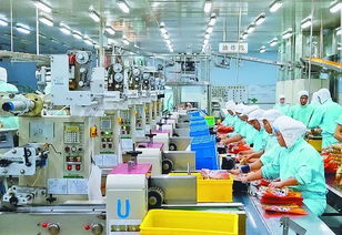 大型食品加工車(chē)間消毒劑罐裝設(shè)備管道洗瓶cip原位清洗消毒