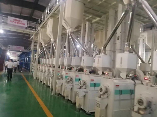 湖北優質糧食工程升級版啟動,六大行動打造一批具有全國影響力的糧油旗艦企業