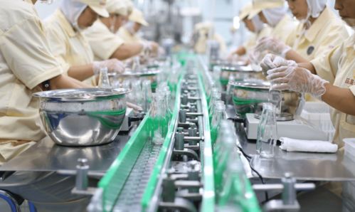 品鑒oem燕窩代加工廠專注滋補養生產品 進軍花膠市場