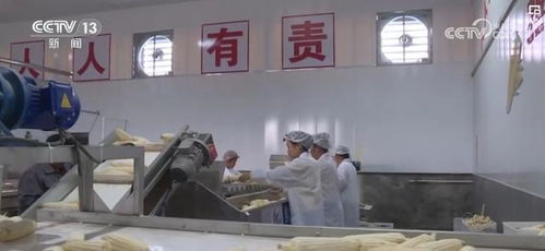 一塊田 釋放土地生產經營活力 一村一品 成農戶致富 金鑰匙