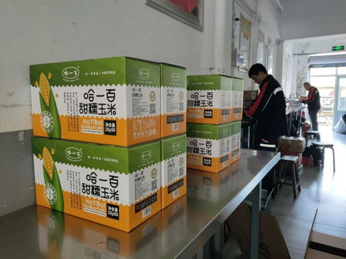 做強綠色食品加工業 哈一百 小玉米成就 大產業